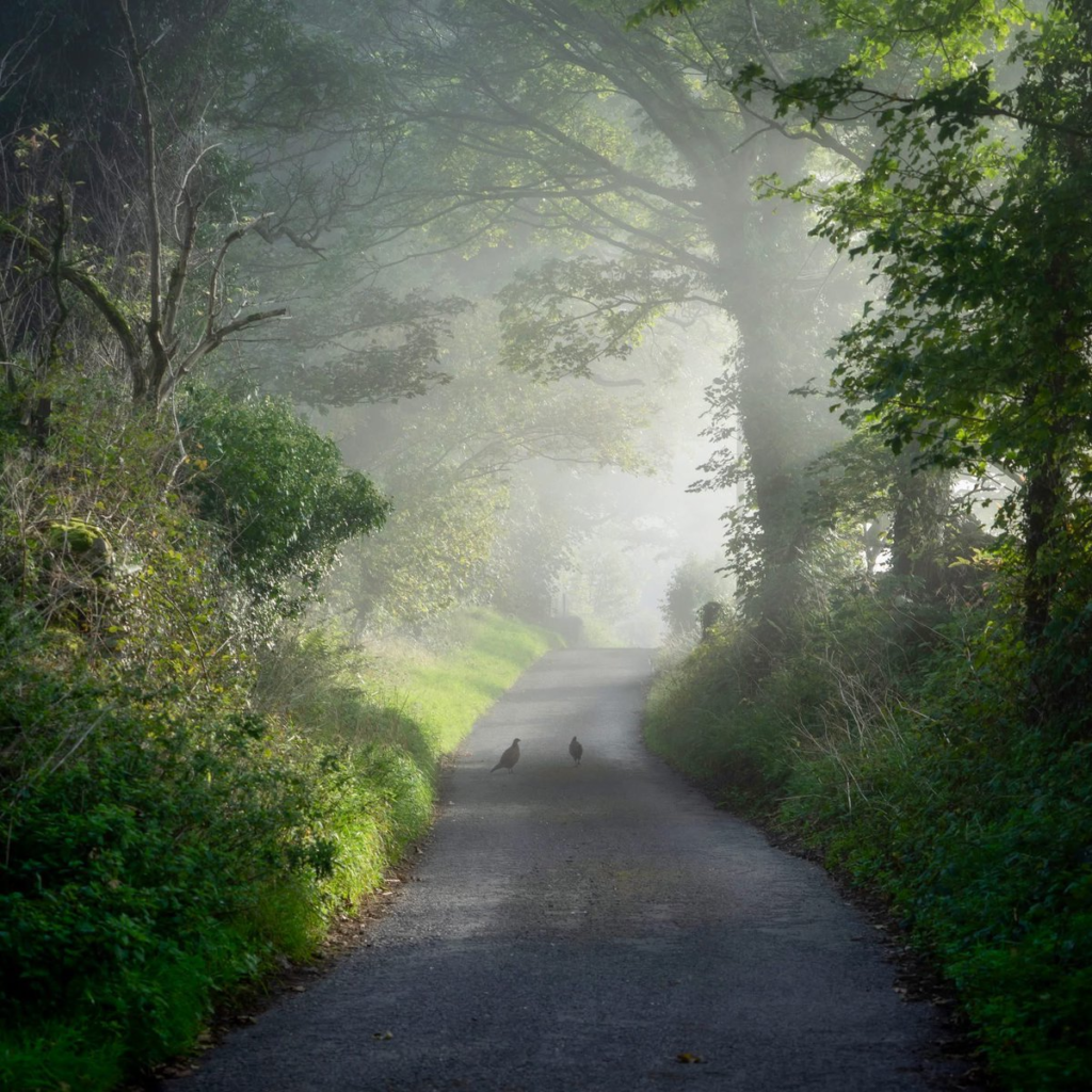 A calm morning scene representing small daily choices that shape long-term life direction
